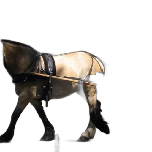 animal, staff, weapon, hat, concept art, 3d render, photorealistic, horse-drawn transparent PNG cut-out