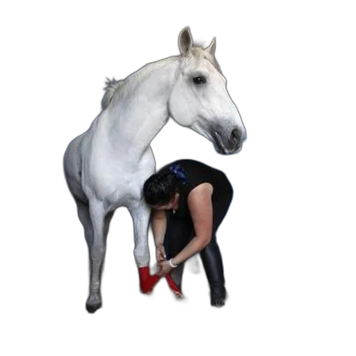 animal, shoes, staff, creature, photorealistic, concept art, woman, black transparent PNG cut-out