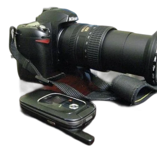 weapon, staff, animal, photorealistic, 3d render, nikon, camera, long transparent PNG cut-out