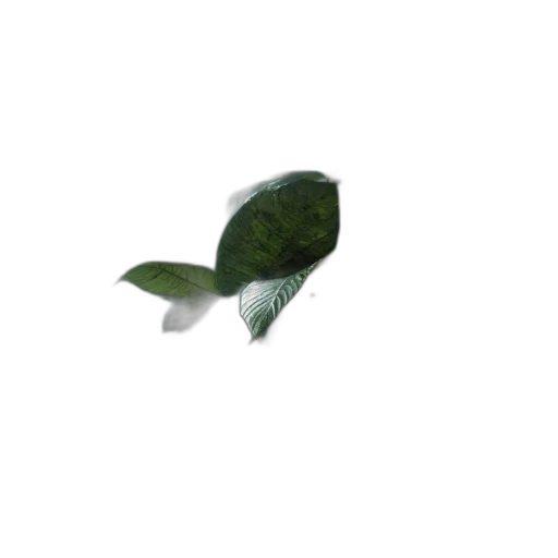 flower, weapon, dragon, animal, 3d render, photorealistic, concept art, pixel art transparent PNG cut-out