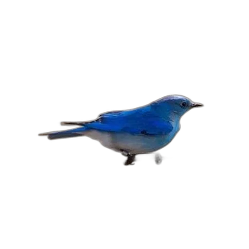 animal, creature, shoes, car, 3d render, photorealistic, pixel art, oil painting transparent PNG cut-out