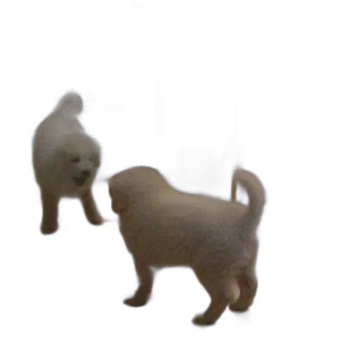 animal, creature, staff, jewelry, 3d render, photorealistic, concept art, oil painting transparent PNG cut-out