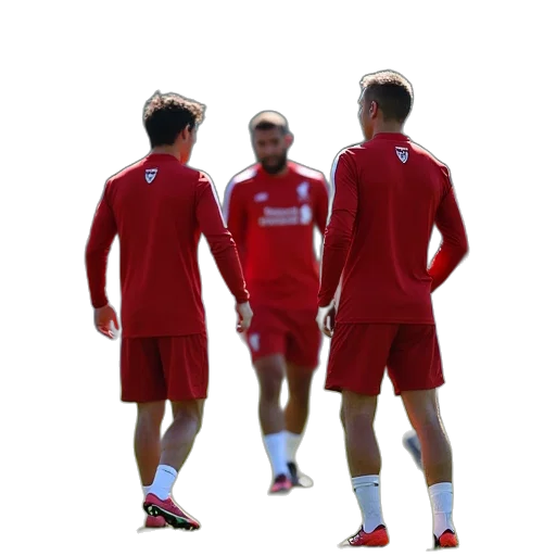 hair, animal, staff, philippeo, players, react, during, liverpool transparent PNG cut-out