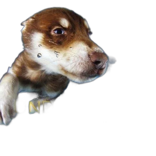 animal, creature, staff, face, photorealistic, watercolor, 3d render, concept art transparent PNG cut-out