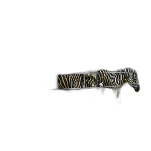 jewelry, animal, staff, weapon, 3d render, photorealistic, two, zebras transparent PNG cut-out