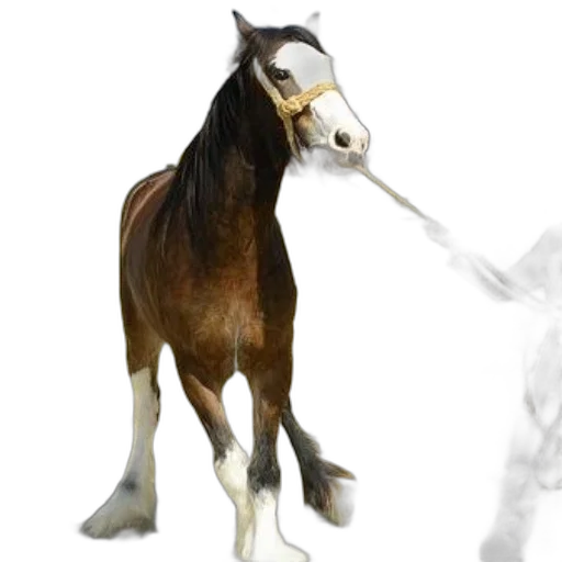 staff, animal, weapon, creature, photorealistic, concept art, 3d render, fog transparent PNG cut-out