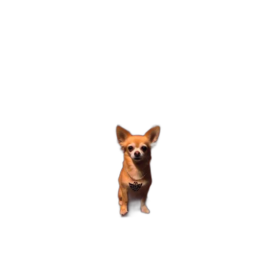 animal, staff, creature, face, pixel art, 3d render, photorealistic, concept art transparent PNG cut-out