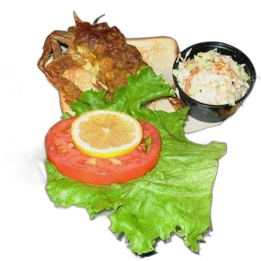food, crown, jacket, photorealistic, 3d render, plate, sandwich, coleslaw transparent PNG cut-out