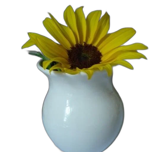 flower, crown, jewelry, bottle, 3d render, photorealistic, oil painting, sunflower transparent PNG cut-out