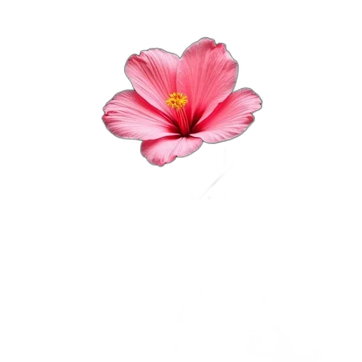 flower, crown, jewelry, staff, photorealistic, 3d render, pencil sketch, watercolor transparent PNG cut-out