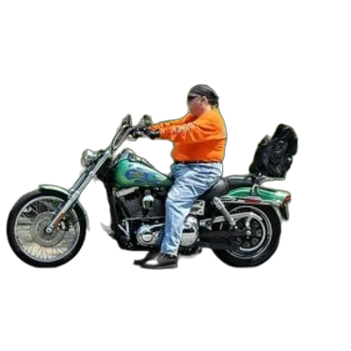 jacket, weapon, animal, photorealistic transparent PNG cut-out