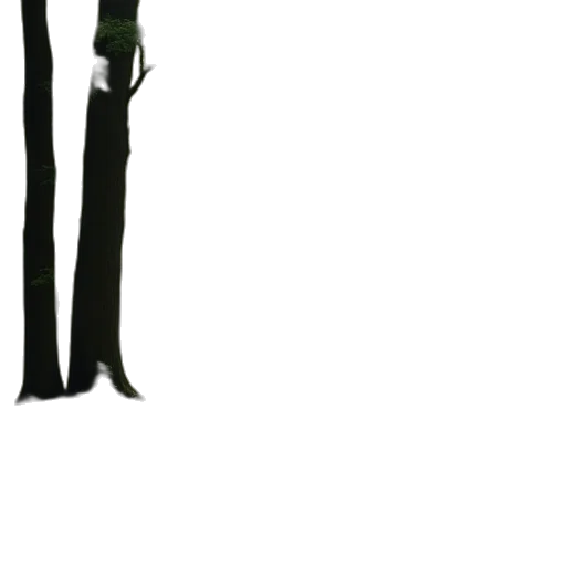 staff, weapon, sword, umbrella transparent PNG cut-out