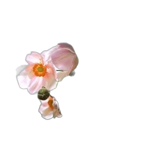 flower, jewelry, crown, staff, 3d render, photorealistic, concept art, pixel art transparent PNG cut-out