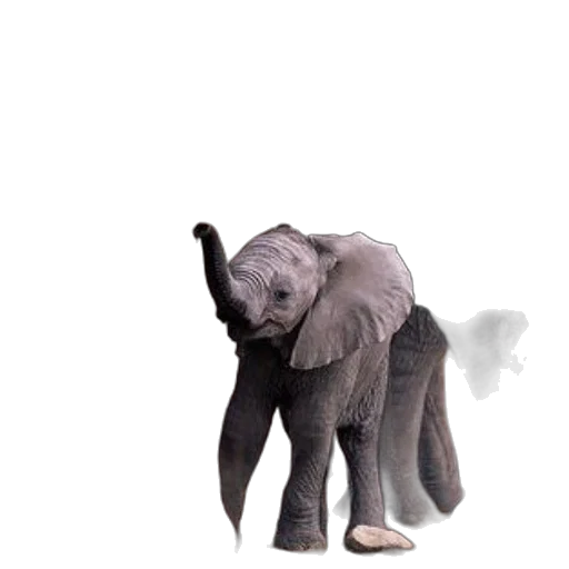 animal, creature, umbrella, staff, photorealistic, concept art, 3d render, pixel art transparent PNG cut-out