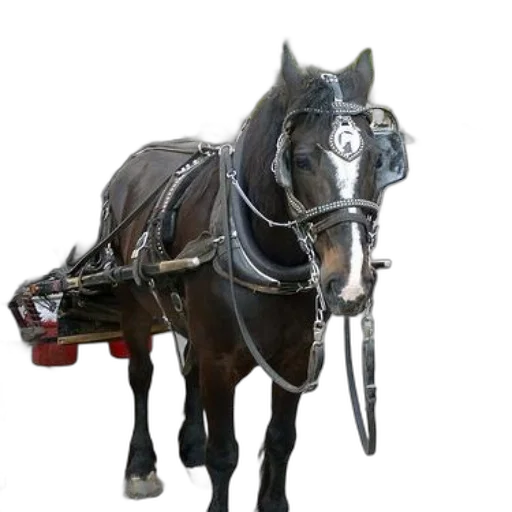 staff, animal, robot, weapon, photorealistic, 3d render, concept art, black transparent PNG cut-out