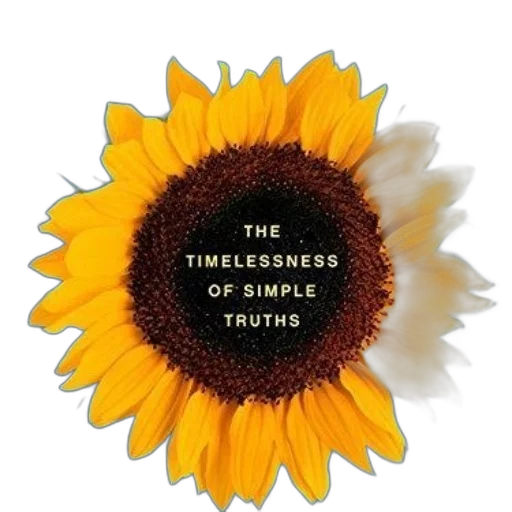 flower, dress, crown, cover, book, titled, timelessness, simple transparent PNG cut-out