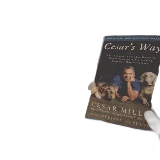 weapon, person, holding, book, titled, cesar, way, while transparent PNG cut-out