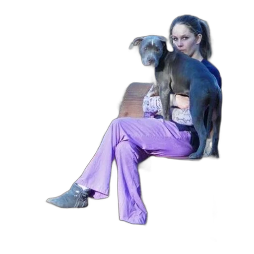 animal, creature, staff, furniture, vaporwave, photorealistic, concept art, oil painting transparent PNG cut-out