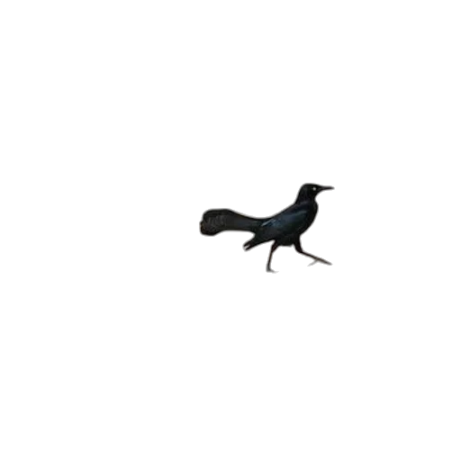 animal, creature, staff, dragon, 3d render, pixel art, concept art, photorealistic transparent PNG cut-out