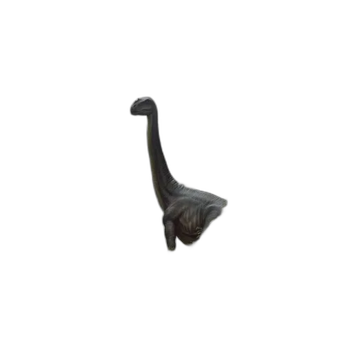 staff, animal, weapon, hat transparent PNG cut-out