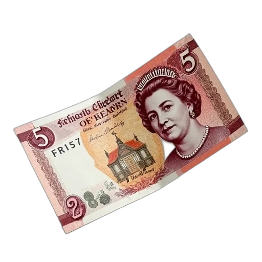 face, 3d render, concept art, front, pounds, bank, note transparent PNG cut-out