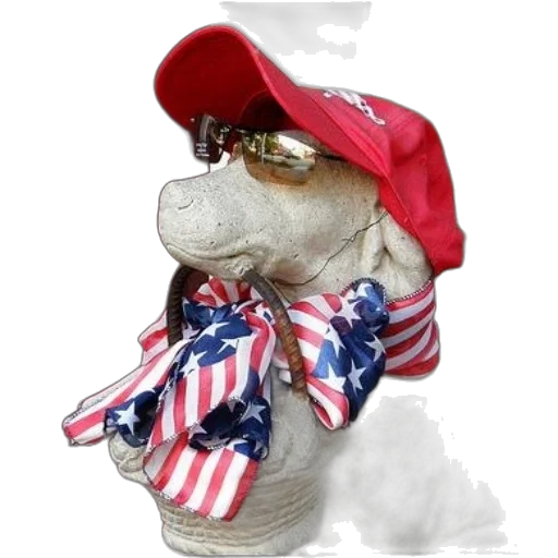 hat, statue, dog, wearing, red, sunglasses, holding, american transparent PNG cut-out