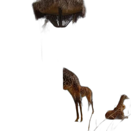 animal, creature, hair, hat, concept art, 3d render, photorealistic, fantasy art transparent PNG cut-out