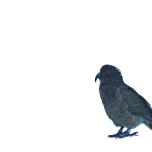 animal, creature, staff, dress, 3d render, photorealistic, concept art, blue transparent PNG cut-out