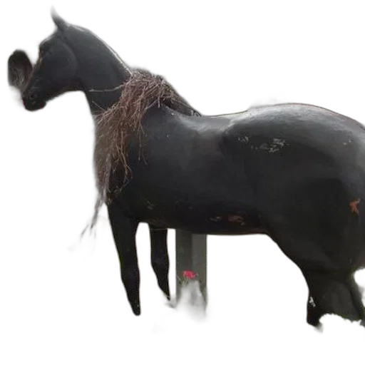 animal, hair, staff, creature, 3d render, photorealistic, concept art, oil painting transparent PNG cut-out