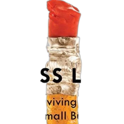 bottle, boss, life, surviving, own, small, business, book transparent PNG cut-out