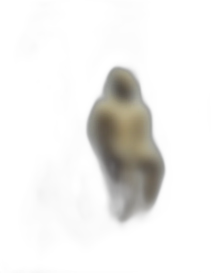 face, creature, animal, hair transparent PNG cut-out