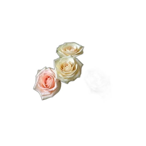 jewelry, flower, crown, 3d render transparent PNG cut-out