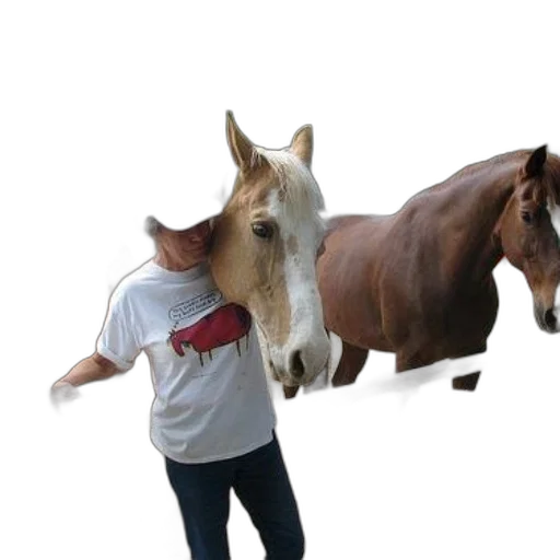 animal, hat, creature, staff transparent PNG cut-out