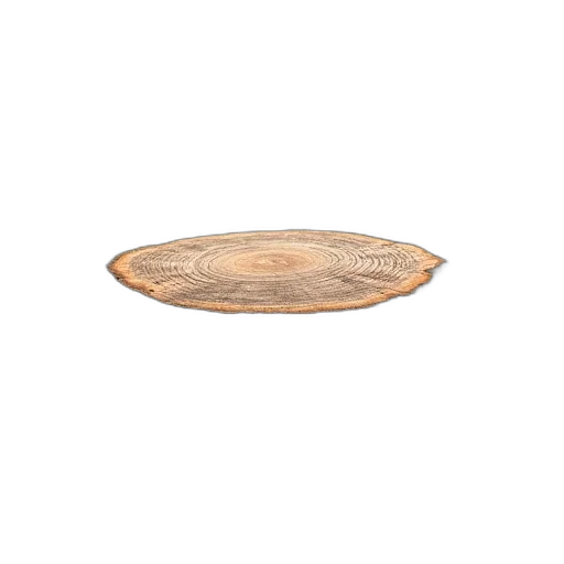 furniture, food, hat, jewelry transparent PNG cut-out