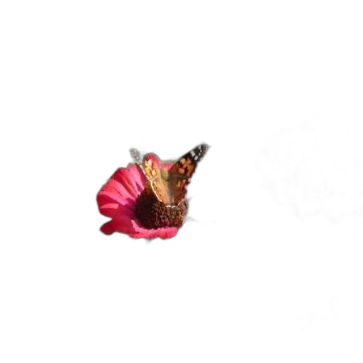 flower, crown, jewelry, animal, photorealistic, 3d render, concept art, pixel art transparent PNG cut-out
