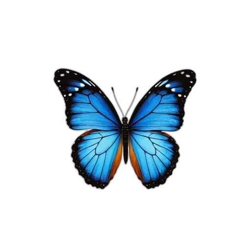 animal, creature, flower, jewelry, photorealistic, 3d render, pixel art, concept art transparent PNG cut-out