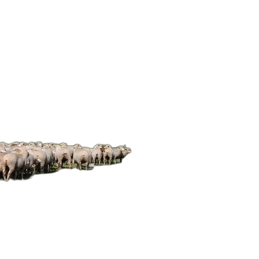 animal, shoes, hair, weapon, 3d render, concept art, pixel art, photorealistic transparent PNG cut-out
