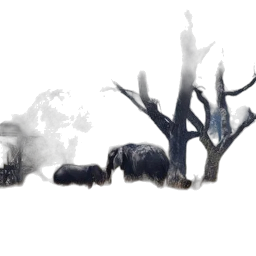 animal, tree, creature, hair, concept art, photorealistic, fantasy art, watercolor transparent PNG cut-out