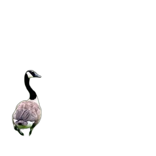 animal, creature, hat, jewelry, pixel art, 3d render, concept art, photorealistic transparent PNG cut-out