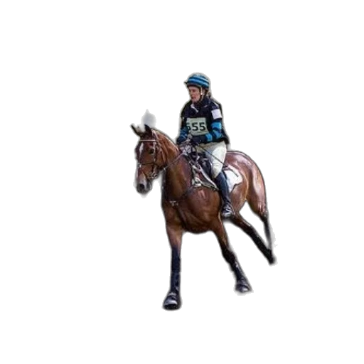 staff, animal, pixel art, 3d render, concept art, photorealistic, rider, horseback transparent PNG cut-out