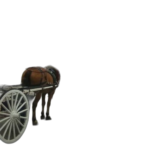 furniture, car, animal, weapon, 3d render, concept art, photorealistic, horse transparent PNG cut-out