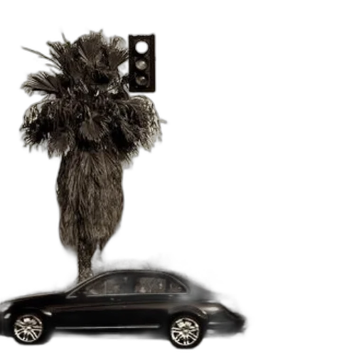 car, hair, hat, animal, concept art, 3d render, black, drives transparent PNG cut-out