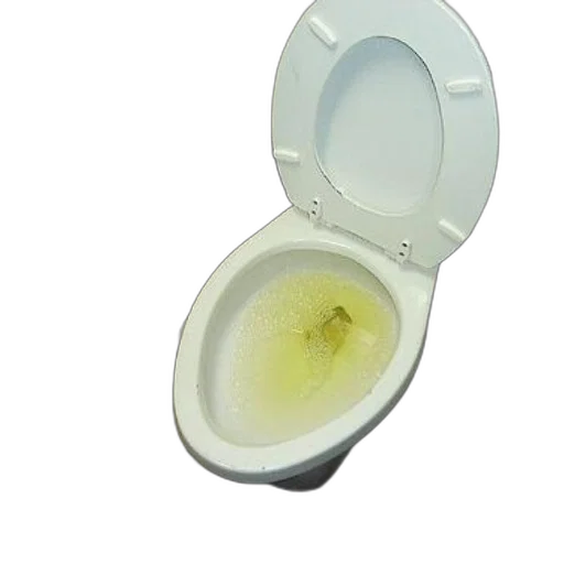 food, jewelry, crown, weapon, 3d render, dirty, toilet, yellowish transparent PNG cut-out