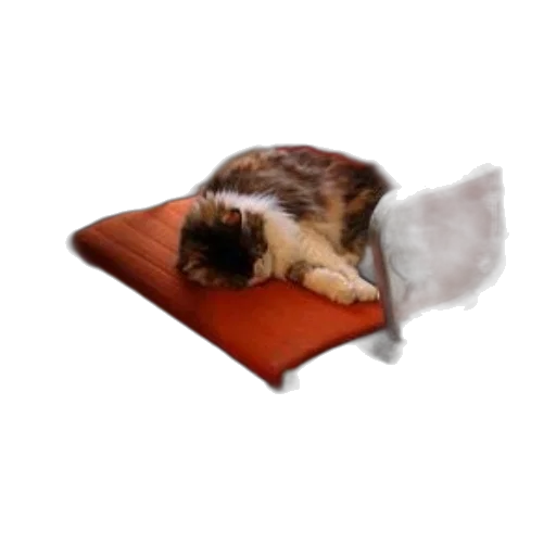furniture, staff, photorealistic, 3d render, calico, cat, lounges, orange transparent PNG cut-out