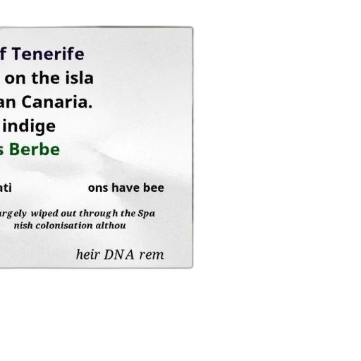 berber, dna, tenerife, indigenous, presence, island, canaria, spain transparent PNG cut-out
