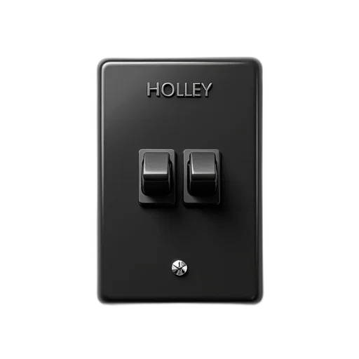 jewelry, black, electrical, switch, word, holley, engraved, shown transparent PNG cut-out