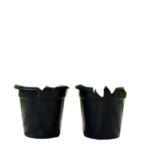 crown, furniture, shoes, bottle, 3d render, photorealistic, concept art, green transparent PNG cut-out