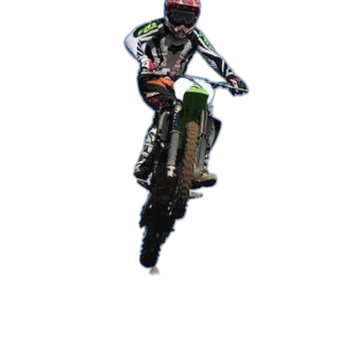 animal, staff, pixel art, photorealistic, 3d render, concept art, motocross, rider transparent PNG cut-out