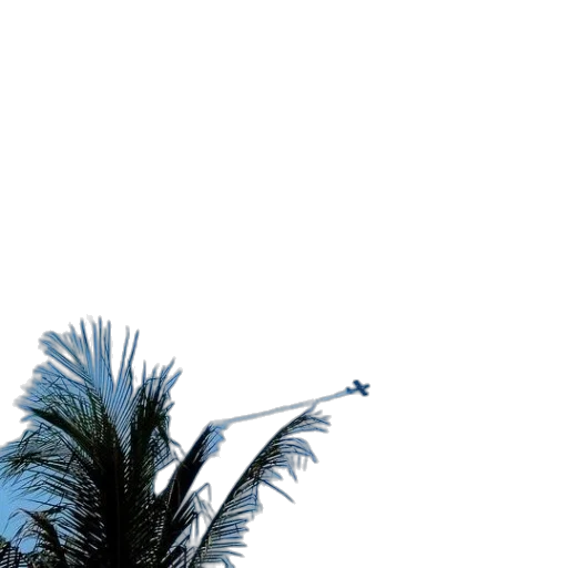 umbrella, tree, hair, staff, vaporwave, photorealistic, 3d render, concept art transparent PNG cut-out