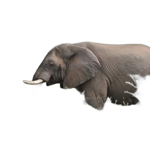 animal, creature, hair, staff, photorealistic, concept art, 3d render, watercolor transparent PNG cut-out